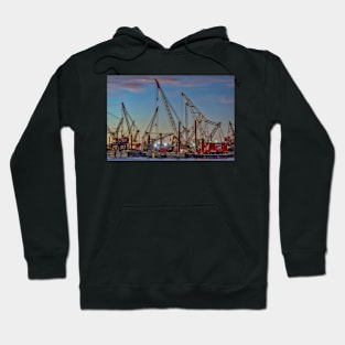 Cranes Hoodie